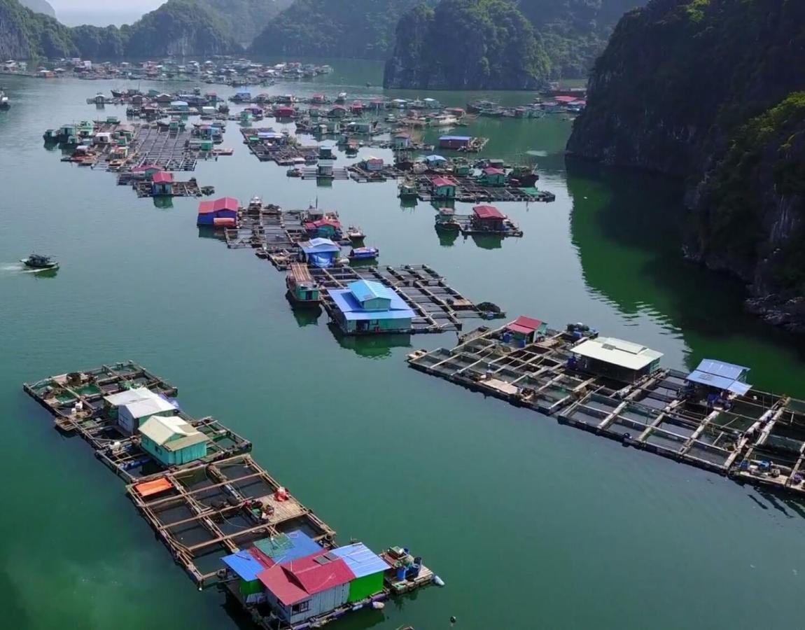 Cat Ba Thailand Hotel Dong Khe Sau Extérieur photo
